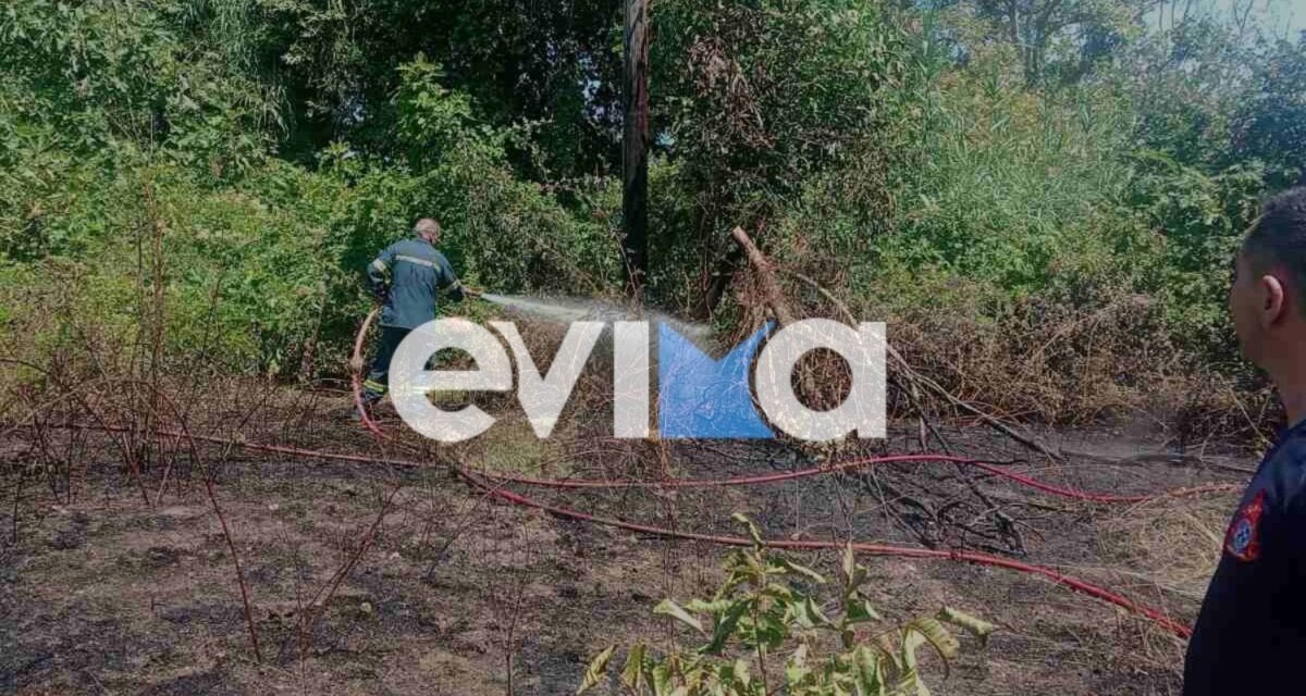 Φωτιά στο Μαντούδι Ευβοίας - Στο σημείο πυροσβεστικές δυνάμεις