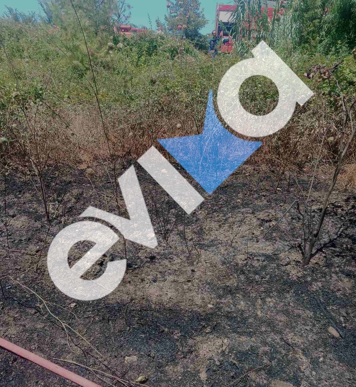 Φωτιά στο Μαντούδι Ευβοίας