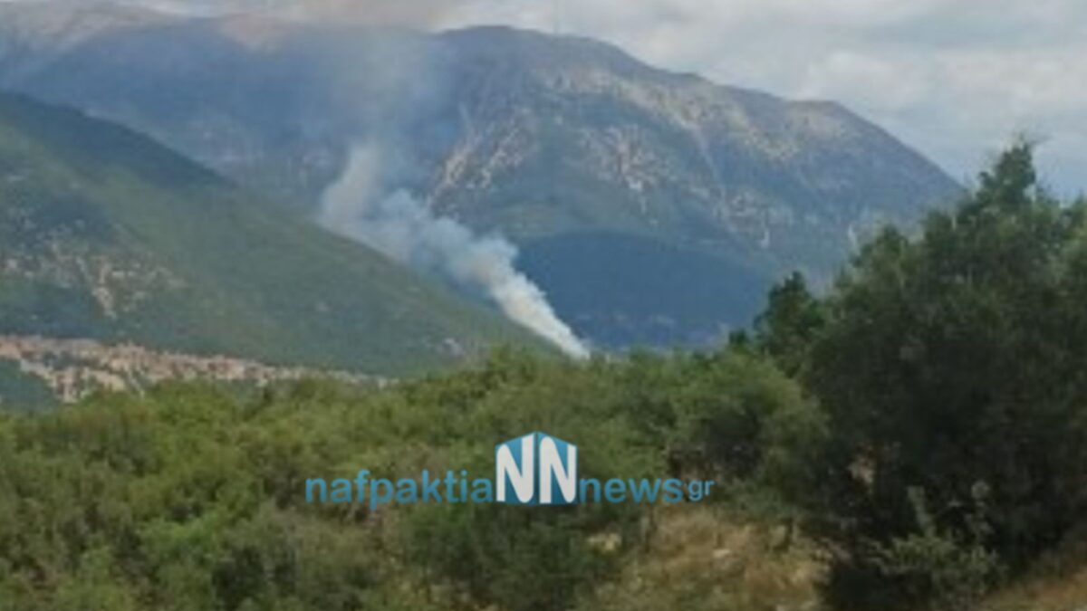 Φωτιά τώρα στο Ανθόφυτο Αιτωλοακαρνανίας, επιχειρούν 6 εναέρια μέσα