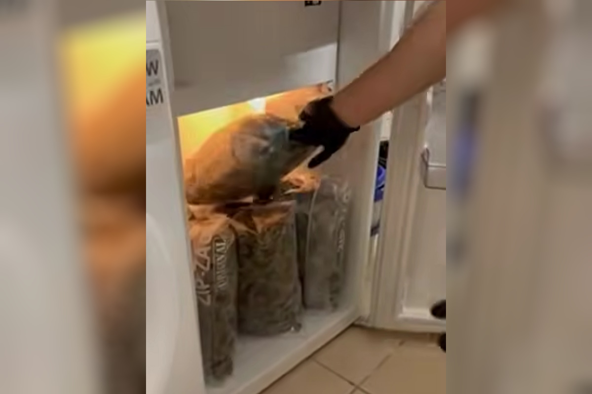 Τα ναρκωτικά που κατασχέθηκαν