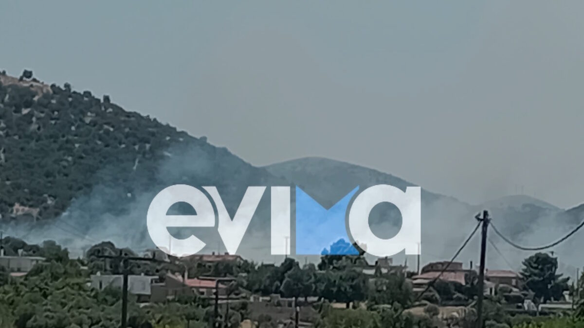 Φωτιά στο Αλιβέρι Εύβοιας: Ήχησε το 112 στην περιοχή Μηλάκι για «ετοιμότητα»