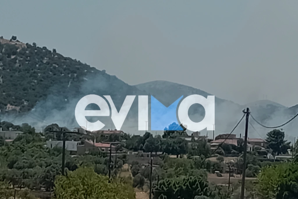 Φωτιά στο Αλιβέρι Εύβοιας: Ήχησε το 112 στην περιοχή Μηλάκι για «ετοιμότητα»