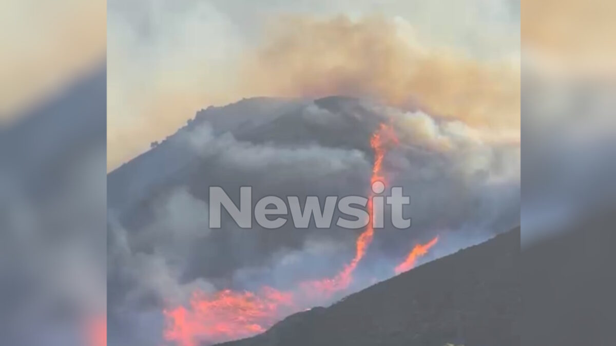 Φωτιά στην Πρέβελη στο Ρέθυμνο