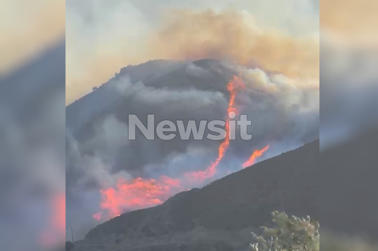 «Πύρινη κόλαση» στο φοινικόδασος της Πρέβελης στο Ρέθυμνο, οι φλόγες μπήκαν σε αυλές στην Πάρο - Ενεργά μέτωπα σε Άνδρο και Κάλυμνο