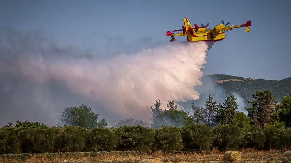 Πυρκαγιά σε αγροτοδασική έκταση στην Σουρωτή Θεσσαλονίκης, Τετάρτη 15 Ιουλίου 2026 (ΡΑΦΑΗΛ ΓΕΩΡΓΙΑΔΗΣ/EUROKINISSI)