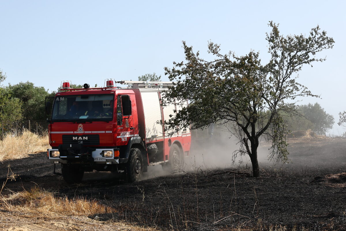 ΠΥΡΚΑΓΙΑ ΣΕ ΔΑΣΙΚΗ ΕΚΤΑΣΗ ΣΤΗΝ ΠΥΛΑΙΑ ΘΕΣΣΑΛΟΝΙΚΗΣ