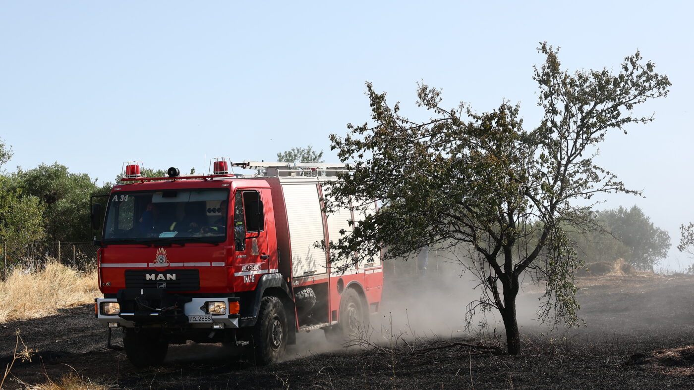 ΠΥΡΚΑΓΙΑ ΣΕ ΔΑΣΙΚΗ ΕΚΤΑΣΗ ΣΤΗΝ ΠΥΛΑΙΑ ΘΕΣΣΑΛΟΝΙΚΗΣ