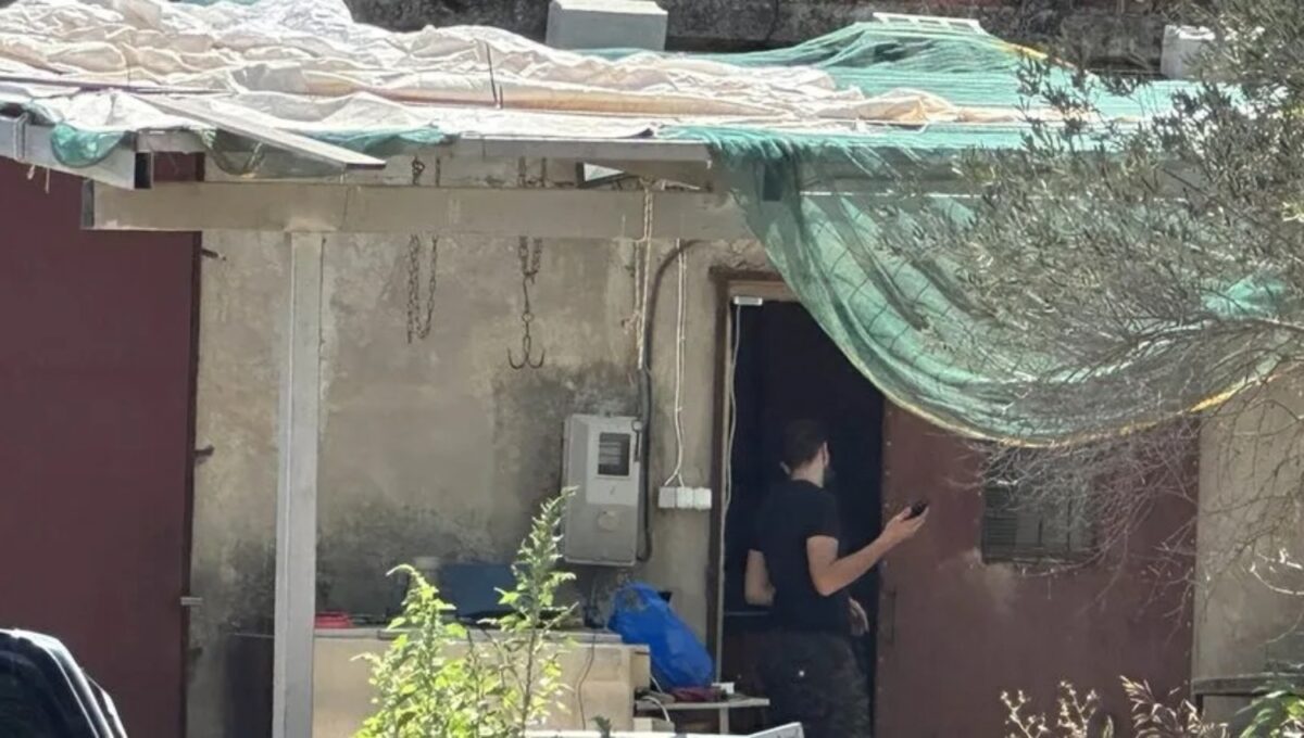 στάβλος