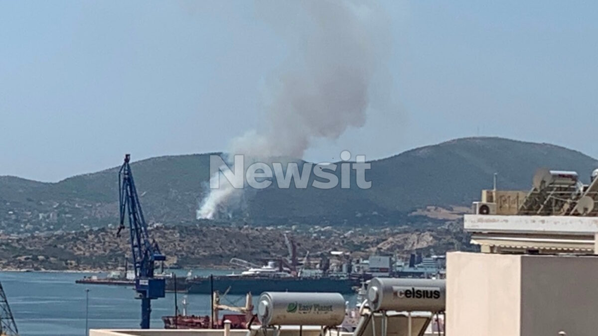 Φωτιά στη Σαλαμίνα στην περιοχή Σελίνια: Μηνύματα του 112 στους κατοίκους – «Απομακρυνθείτε προς παραλία»