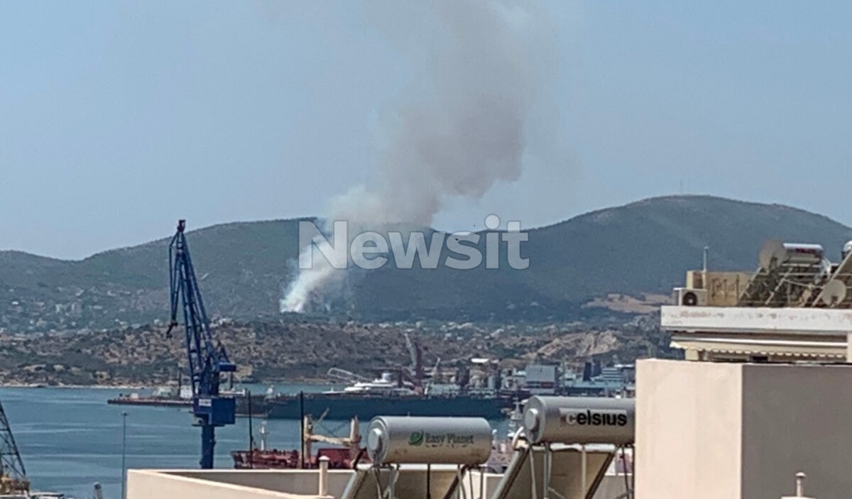 Φωτιά στη Σαλαμίνα στην περιοχή Σελίνια: Μηνύματα του 112 στους κατοίκους – «Απομακρυνθείτε προς παραλία»