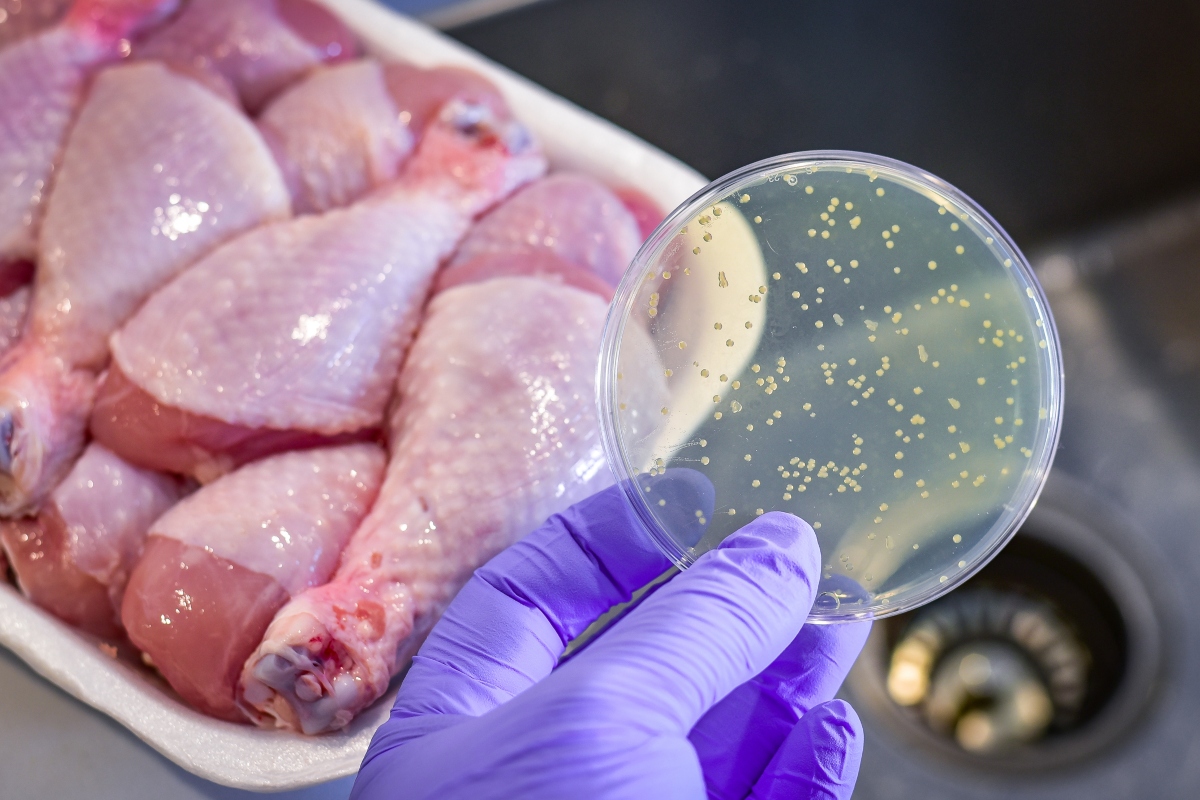 Περιστέρι: Η ανακοίνωση του ψητοπωλείου για τα 9 κρούσματα σαλμονέλας – «Δεν προκύπτει ένδειξη παρουσίας του βακτηρίου»