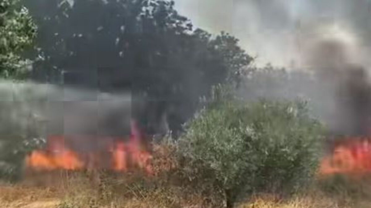 Φωτιά στις Σέρρες