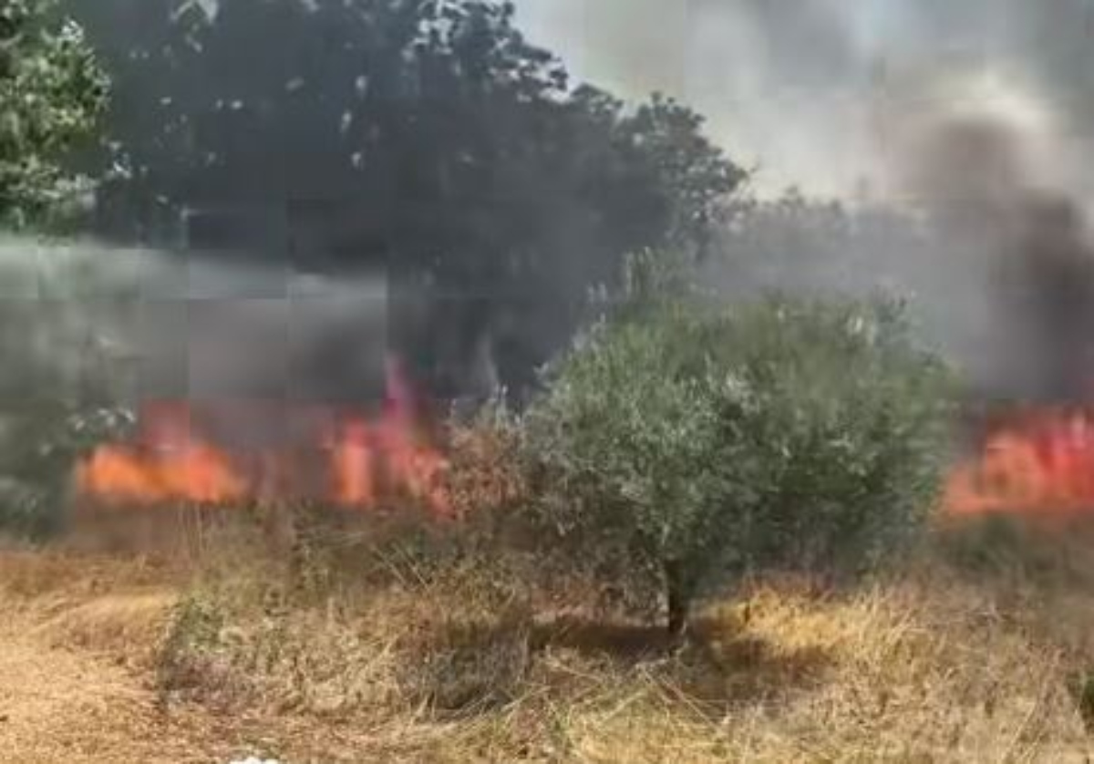 Δύο συλλήψεις για τη φωτιά στις Οινούσσες Σερρών - Βγήκαν εκτός δρόμου με το αυτοκίνητο, χτύπησε στο έδαφος και προκάλεσε σπίθες