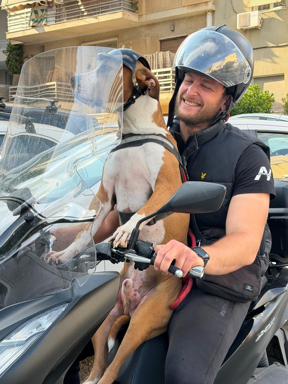 skylos motosykleta