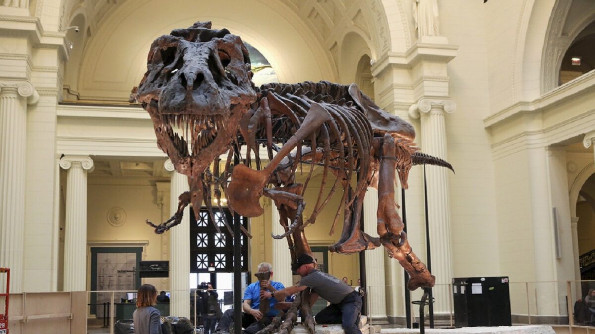 T-REX