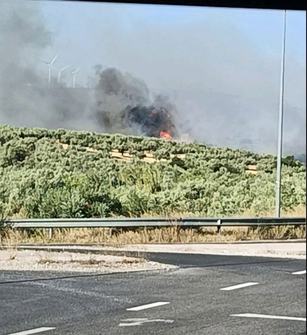 thiva-fotia-1 Photo / Πυρκαγια Ενημερωση / Facebook