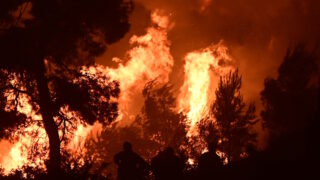 Φωτιά σε δάσος στη διάρκεια πολύ ισχυρών ανέμων