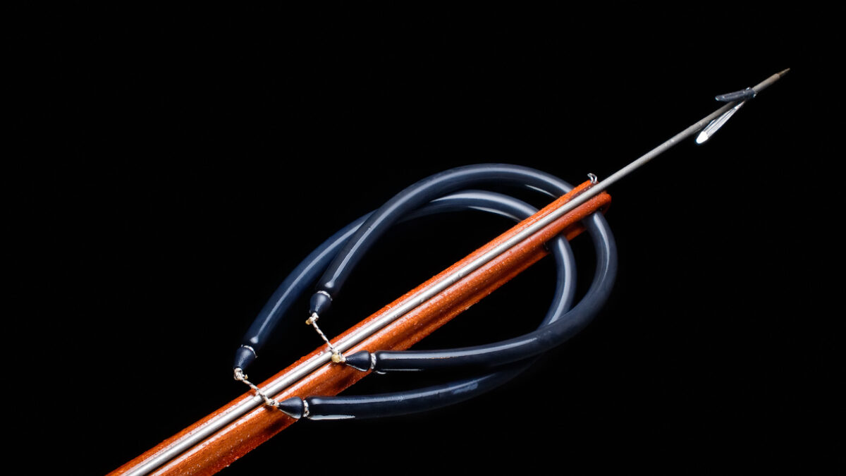 Wooden spear gun
