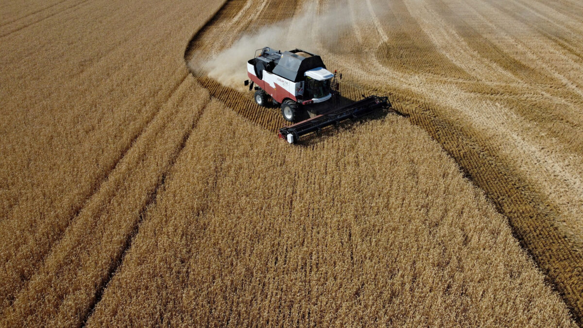 FILE PHOTO: A drone view shows a combine harvesting wheat in a field in the Rostov Region, Russia July 9, 2024.
