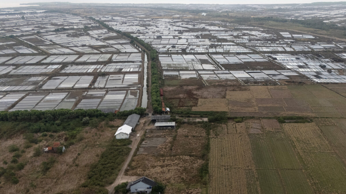 A drone view shows almost dried paddy fields during an El Nino-driven drought, and salt ponds, in Pengarengan village, Cirebon, West Java province, Indonesia, July 31, 2026.