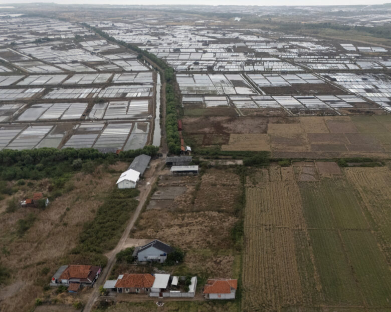 A drone view shows almost dried paddy fields during an El Nino-driven drought, and salt ponds, in Pengarengan village, Cirebon, West Java province, Indonesia, July 31, 2026.