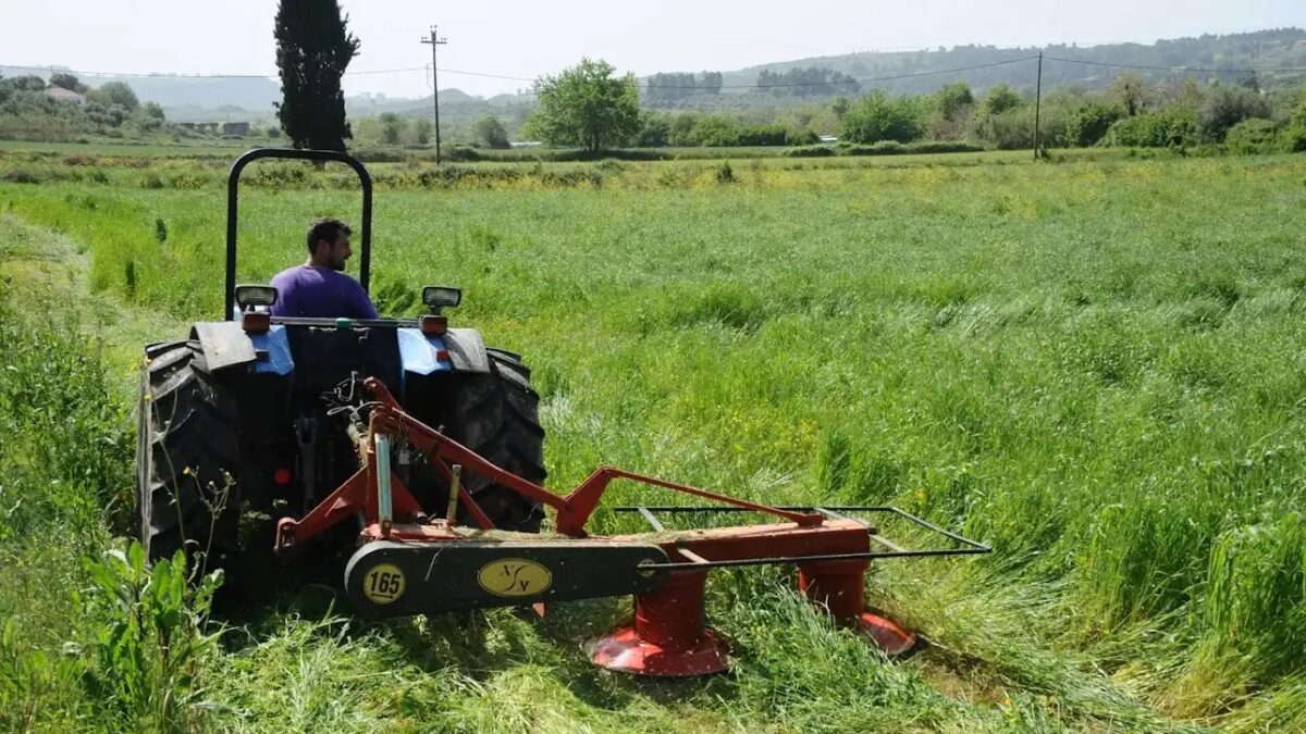 ΑΝΤΩΝΗΣ ΝΙΚΟΛΟΠΟΥΛΟΣ