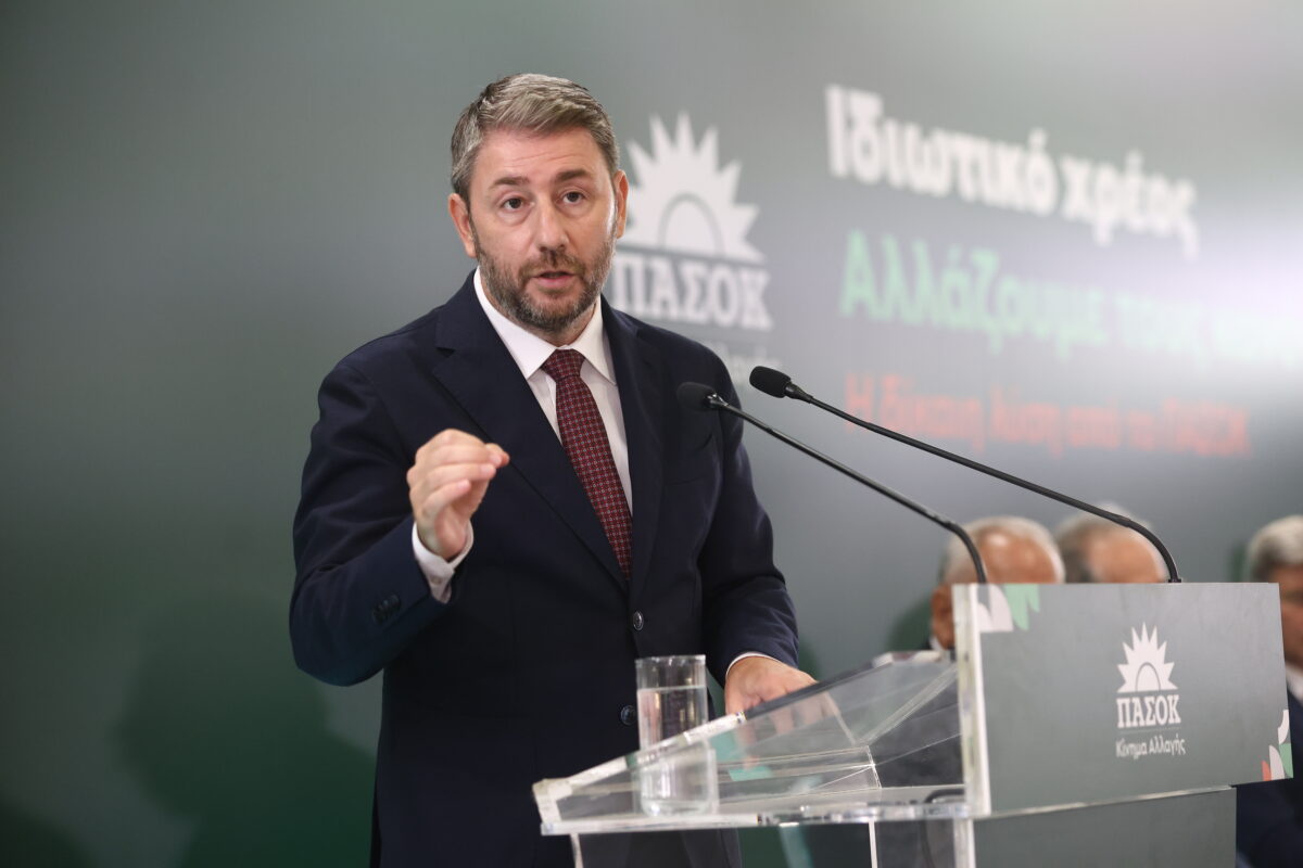 Ο Νίκος Ανδρουλάκης
