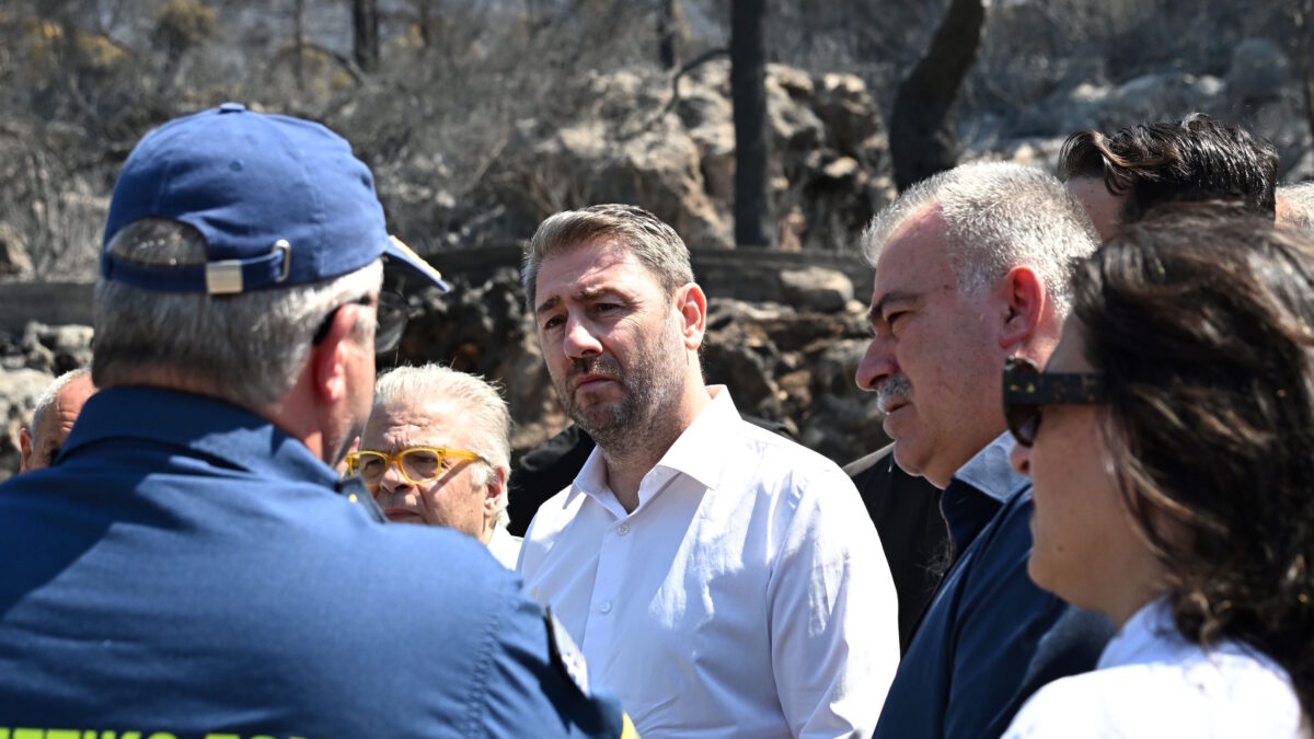 Ο Νίκος Ανδρουλάκης στα καμένα