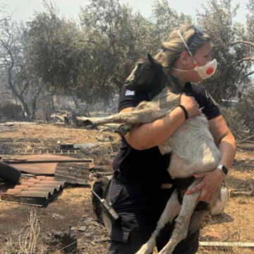 Η αστυνομικός που σώζει κατσικάκι