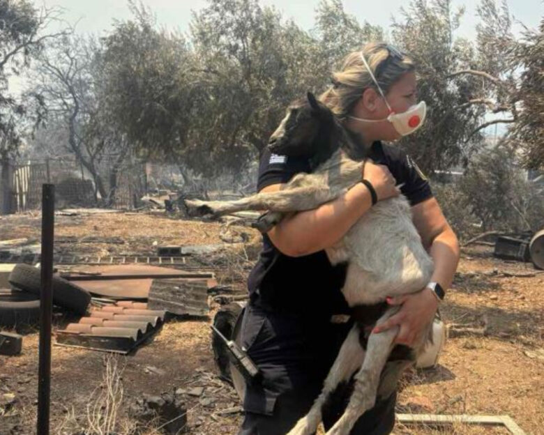 Η αστυνομικός που σώζει κατσικάκι