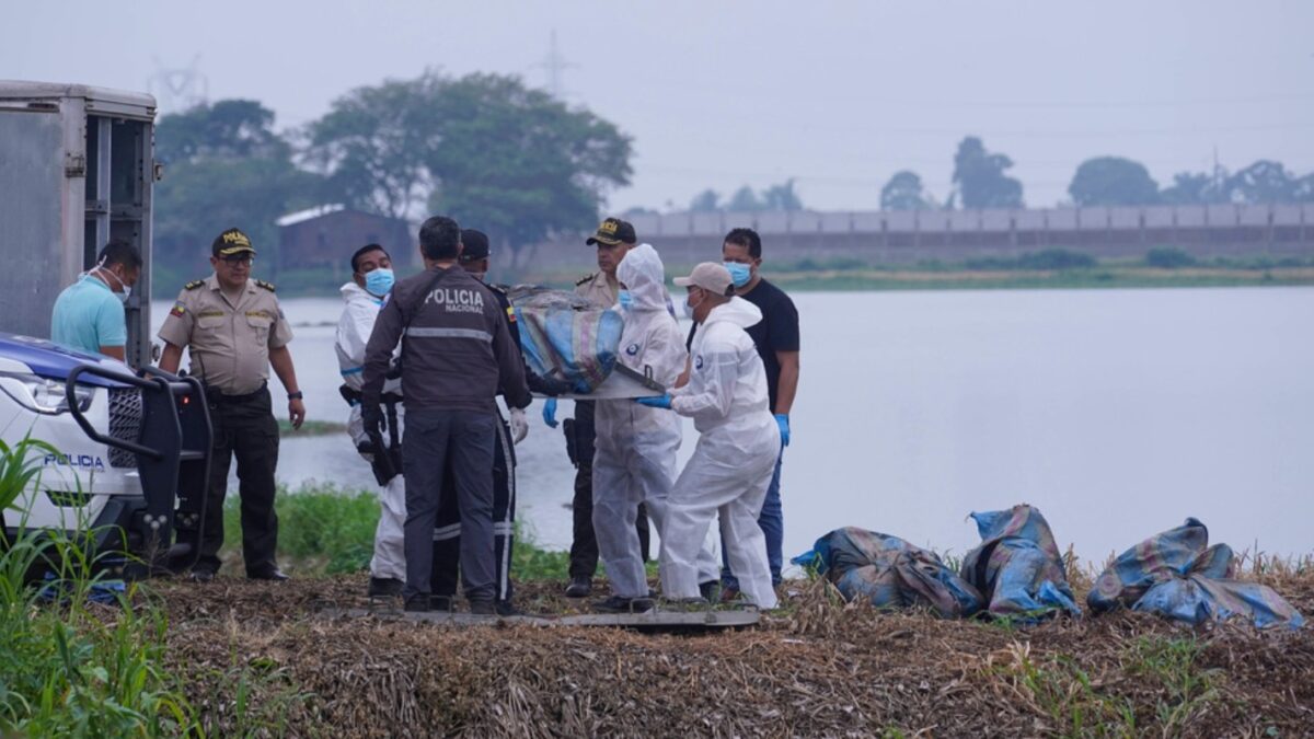 Forensic workers remove bodies found in sacks alongside a road near Babahoyo, Ecuador, Wednesday, June 3, 2026. Authorities link the case to violent rivalries between criminal gangs Los Lobos and Los Choneros. (AP Photo/Cesar Munoz)