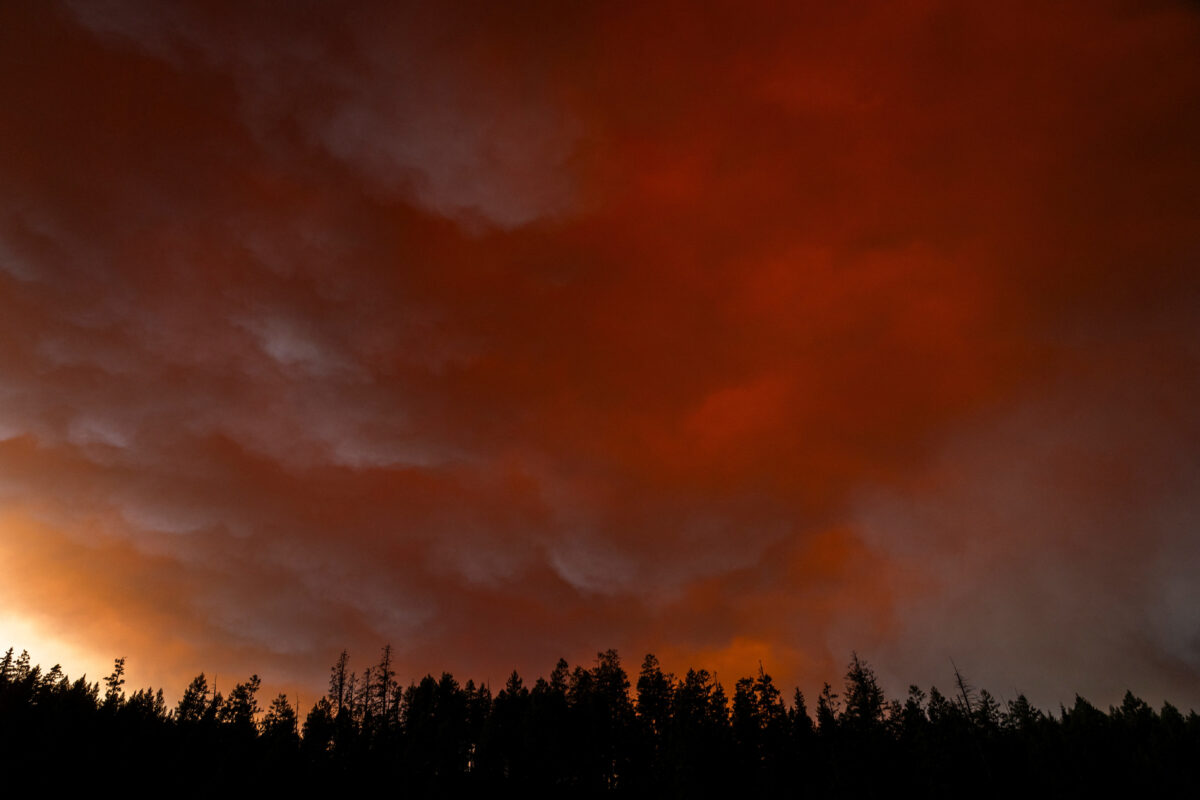 REUTERS