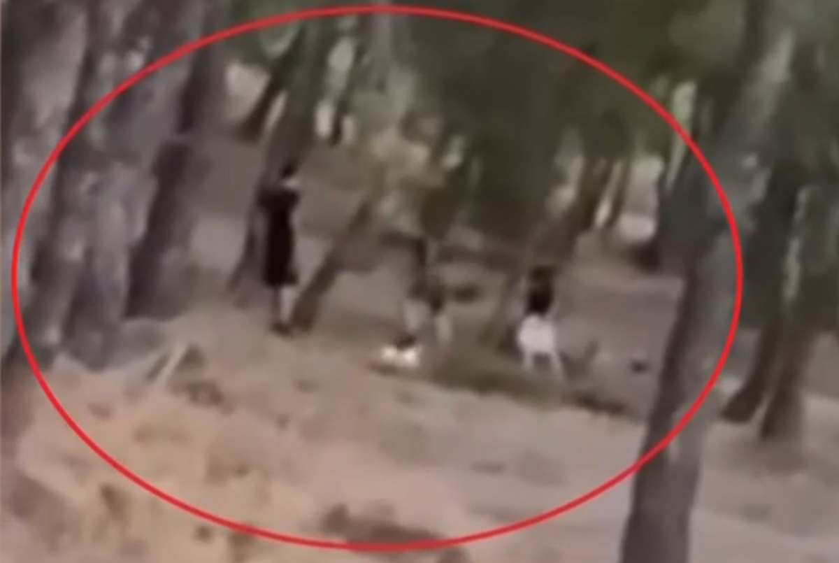 Challenge ανηλίκων μέσα σε δάσος στη λεωφόρο Πεντέλης – Βάζουν φωτιά και μετά προσπαθούν να τη σβήσουν