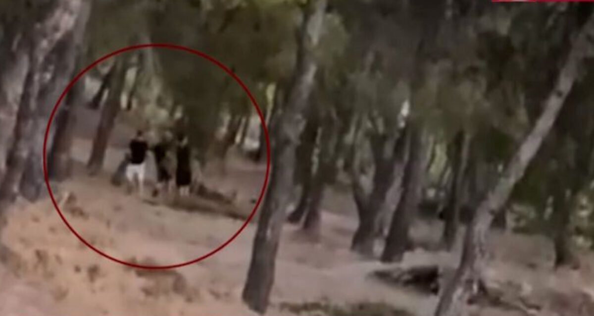 Challenge ανηλίκων με φωτιά σε δάσος στη λεωφόρο Πεντέλης
