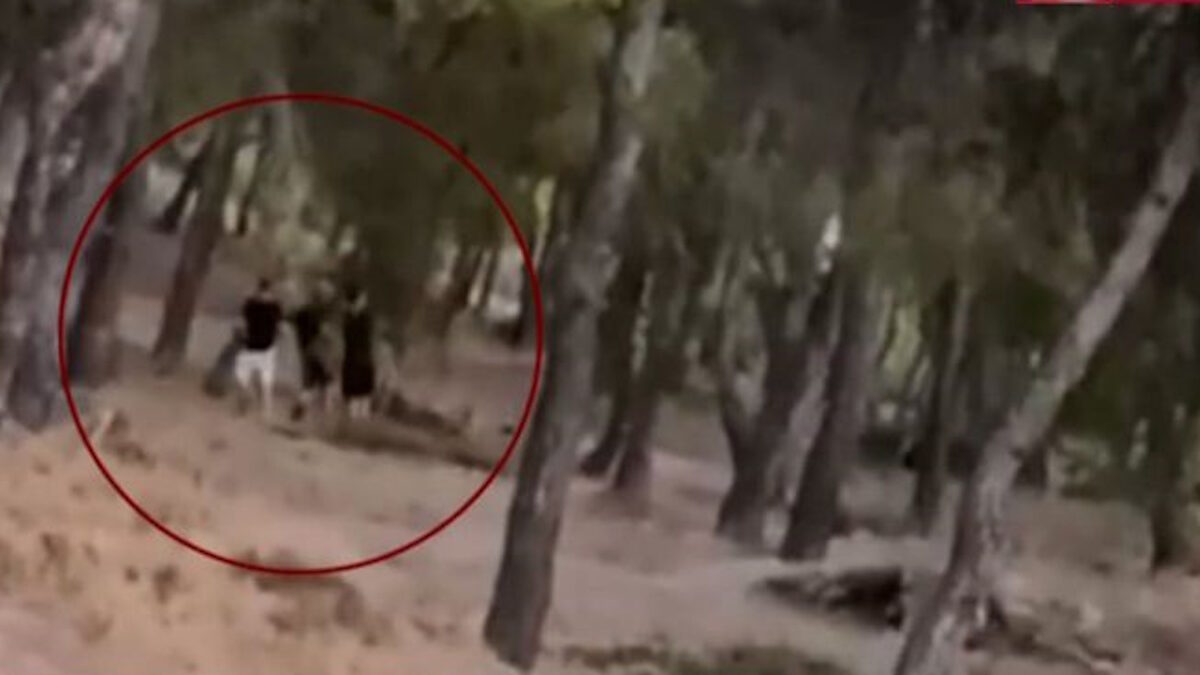 Challenge ανηλίκων με φωτιά σε δάσος στη λεωφόρο Πεντέλης