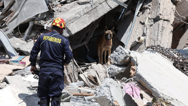 A rescue dog and a firefighter stand amid rubble at the site of a damaged building following an earthquake, in Pereira, Colombia, August 11, 2026. REUTERS/Luisa Gonzalez