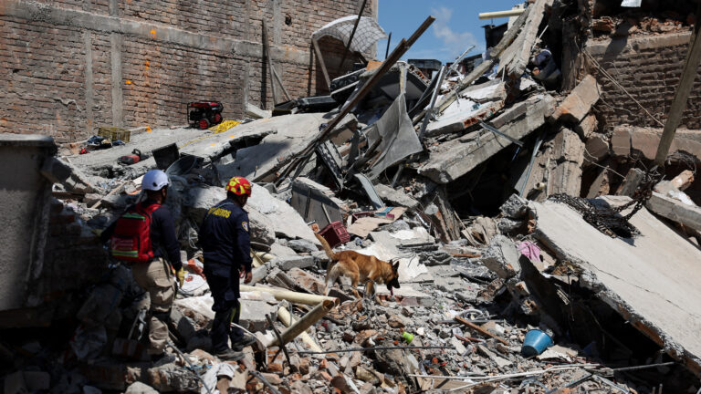 Rescuers and a rescue dog walk on rubble at the site of a damaged building following an earthquake, in Pereira, Colombia, August 11, 2026. REUTERS/Luisa Gonzalez