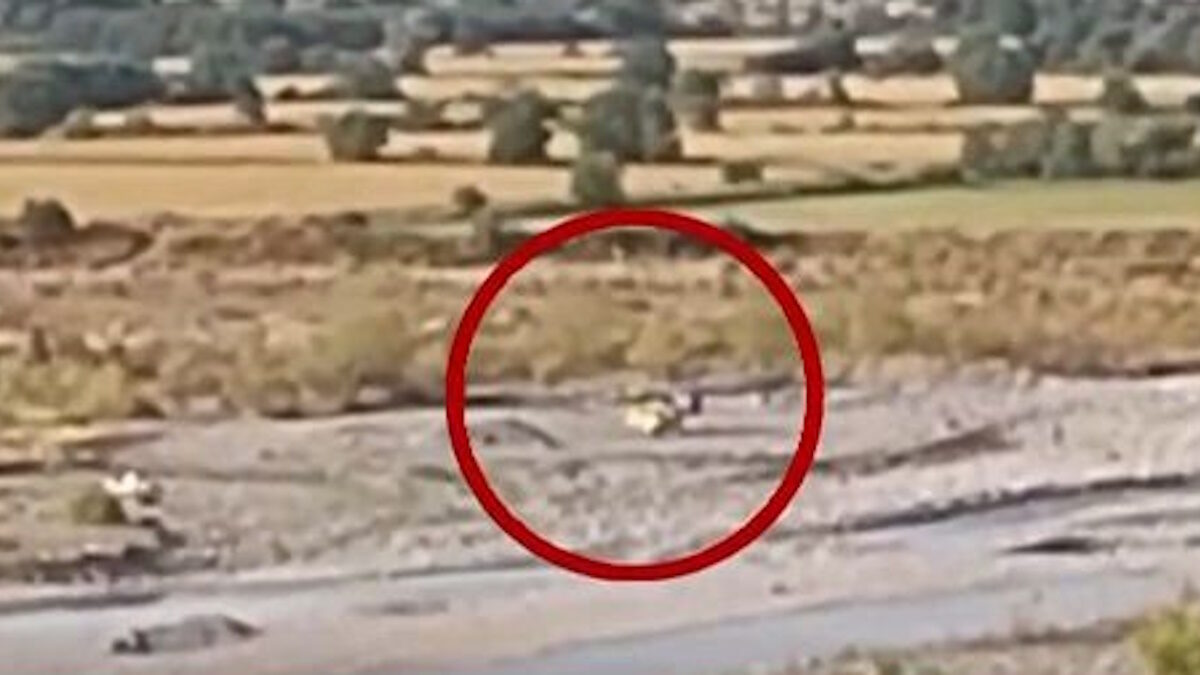 Πυροσβεστικό ελικόπτερο που έπαιρνε μέρος σε κατάσβεση φωτιάς έκανε αναγκαστική προσγείωση στον ποταμό Αώο