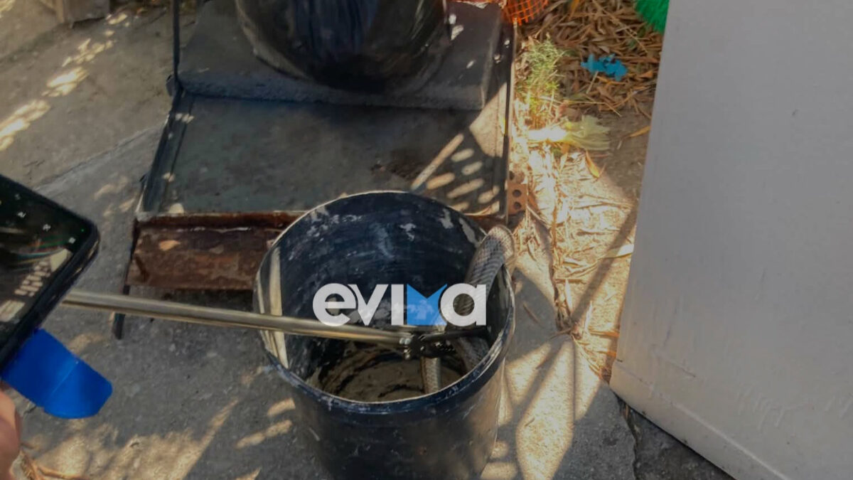 Φίδι, Εύβοια