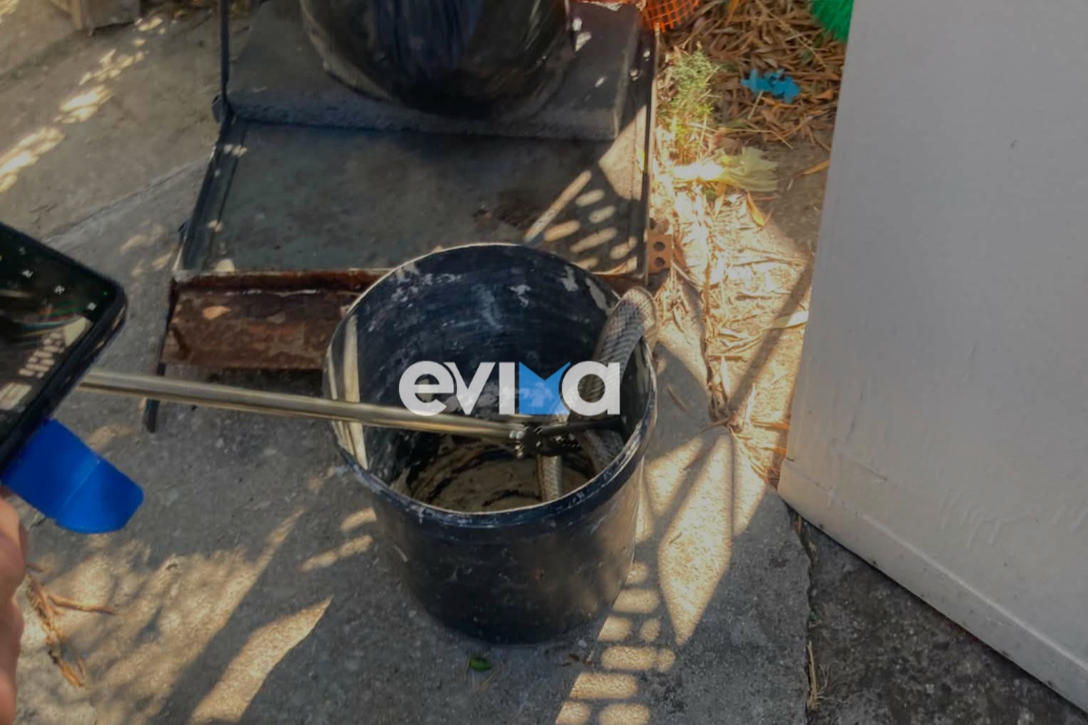 Εύβοια: Φίδι δύο μέτρων εντοπίστηκε σε αποθήκη σπιτιού