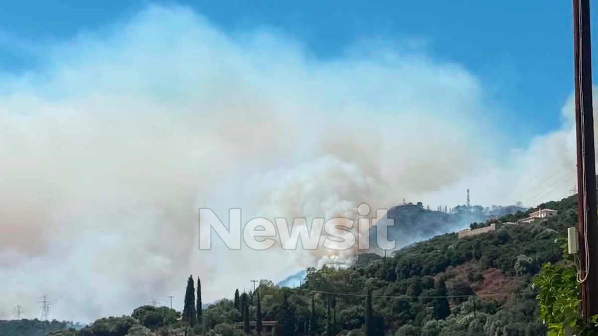 Φωτιά στο Σκάλωμα Φωκίδας: Αλλεπάλληλα μηνύματα του 112 για εκκενώσεις – «Απομακρυνθείτε προς Ναύπακτο»