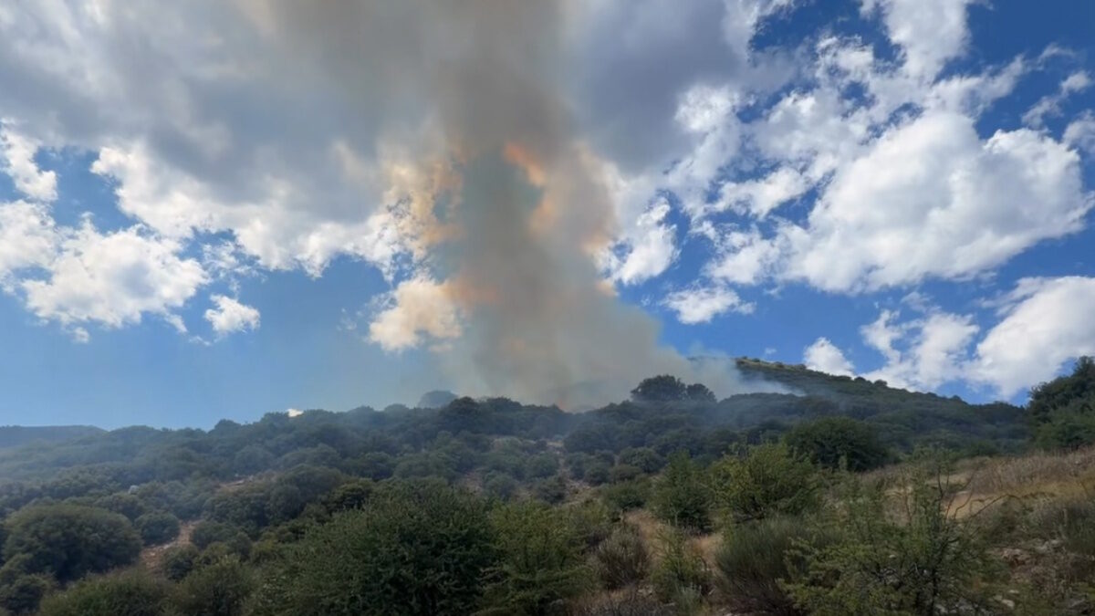 Φωτιά στη Λαμπεία Ηλείας – 7 αεροσκάφη στη μάχη της κατάσβεσης