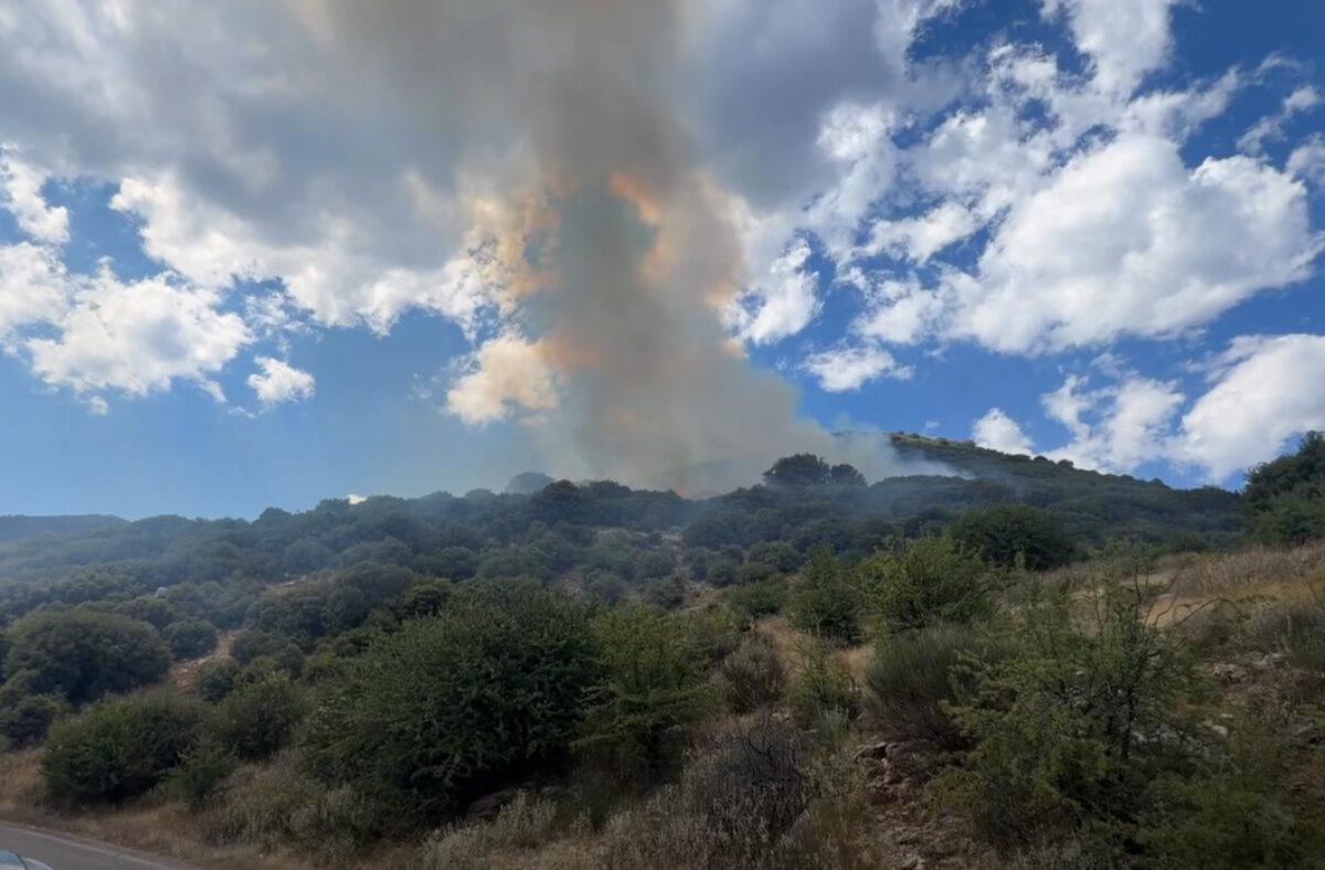Φωτιά στη Λαμπεία Ηλείας – 7 αεροσκάφη στη μάχη της κατάσβεσης