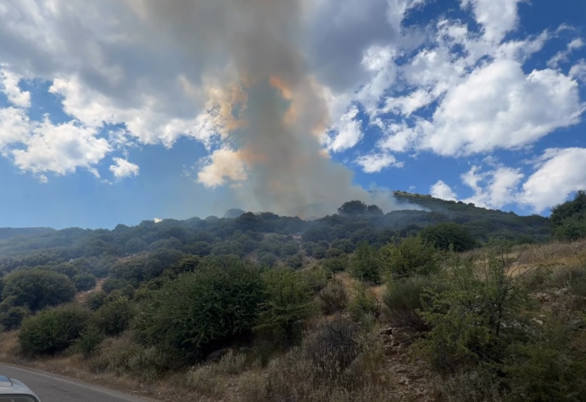 Φωτιά στη Λαμπεία Ηλείας - 7 αεροσκάφη στη μάχη της κατάσβεσης