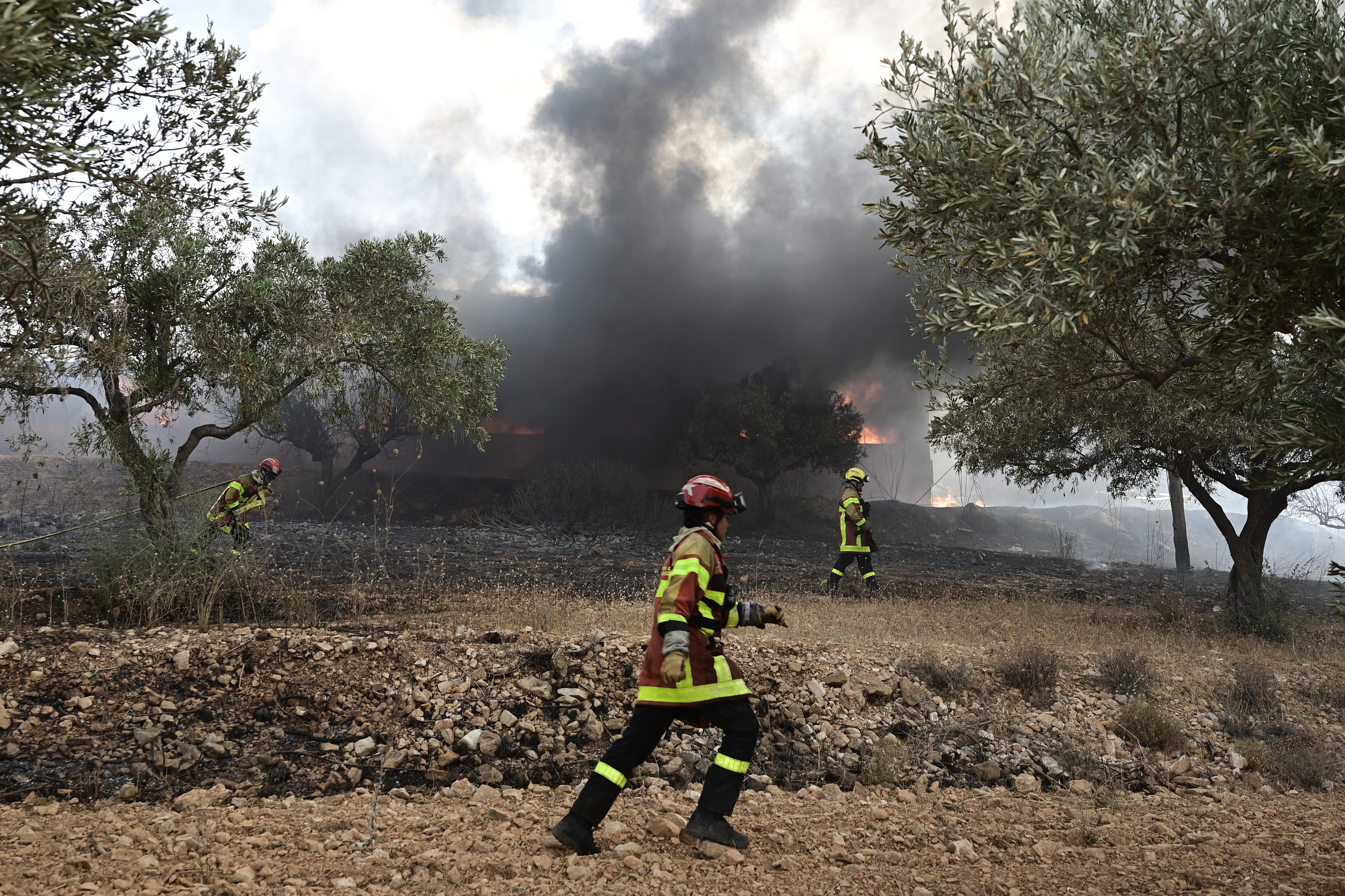 Φωτιά στα Σήμαντρα Χαλκιδικής: Μεγάλη κινητοποίηση της Πυροσβεστικής - Σηκώθηκαν 6 αεροσκάφη και 2 ελικόπτερα