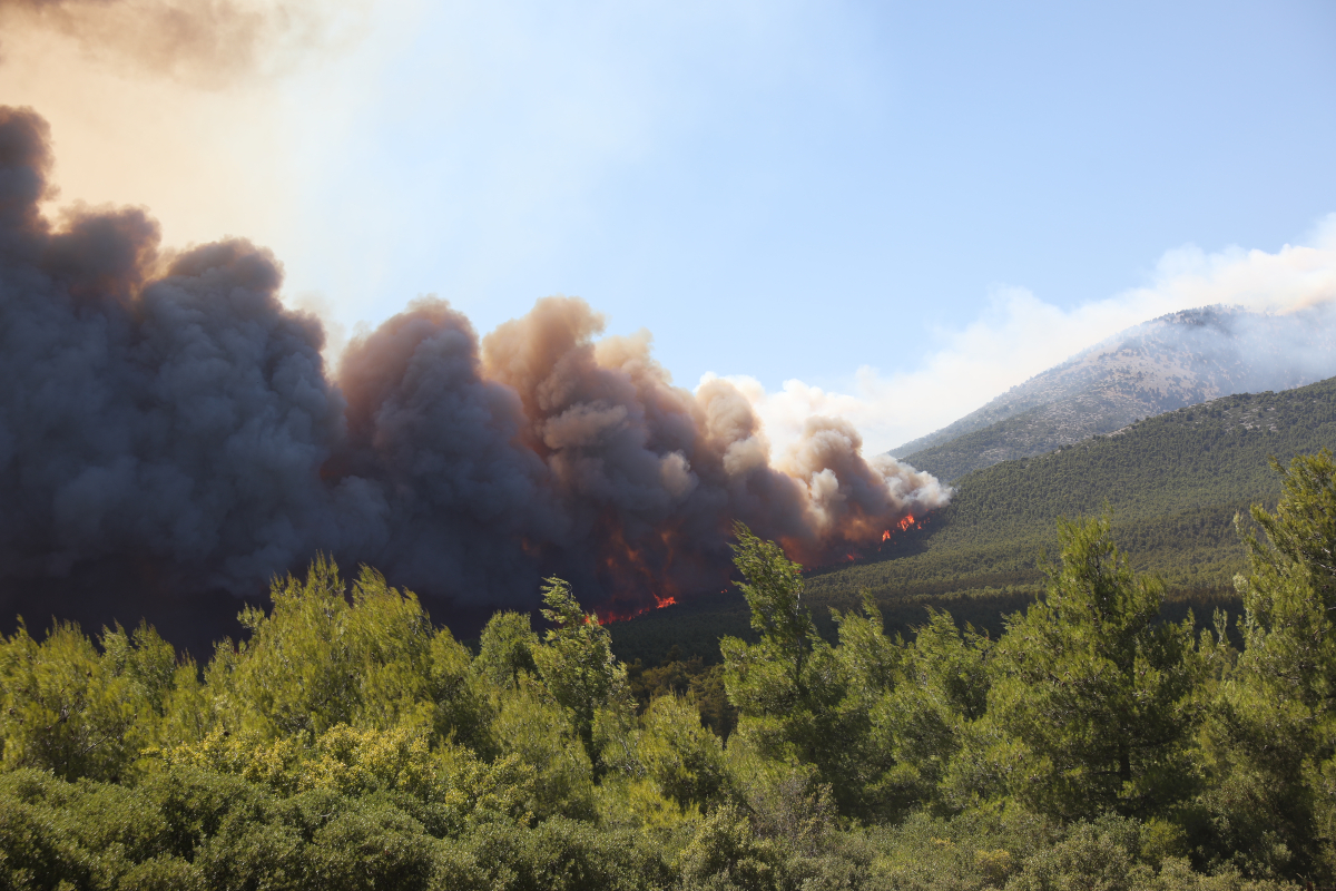 Χριστίνα Ρήγου για τη φωτιά στο Πόρτο Γερμενό: «Ριπές πάνω από 80 χλμ την ώρα συνέβαλαν ώστε η φωτιά να εξελιχθεί σε mega fire»