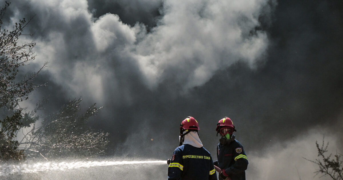 Φωτιά στο Νότιο Πήλιο: Ισχυρές δυνάμεις στη μάχη με τις φλόγες – Μήνυμα από το 112 για ετοιμότητα