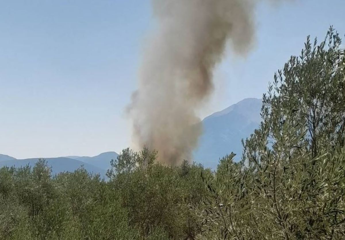Φωτιά στην Ελάτεια Φθιώτιδας
