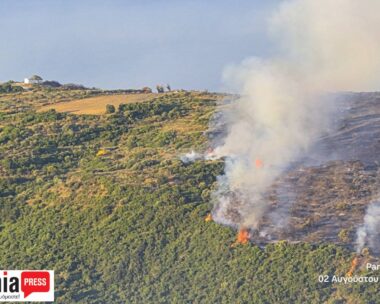 Φωτιά στην Κεφαλονιά: Συνελήφθη 44χρονος για εμπρησμό από πρόθεση – Είχε καταδικαστεί και στο παρελθόν
