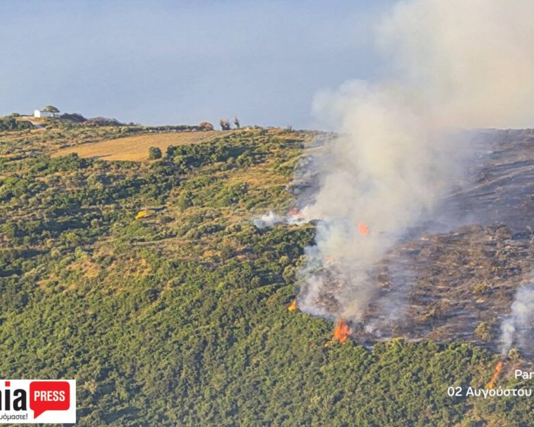 Φωτιά στην Κεφαλονιά: Συνελήφθη 44χρονος για εμπρησμό από πρόθεση – Είχε καταδικαστεί και στο παρελθόν